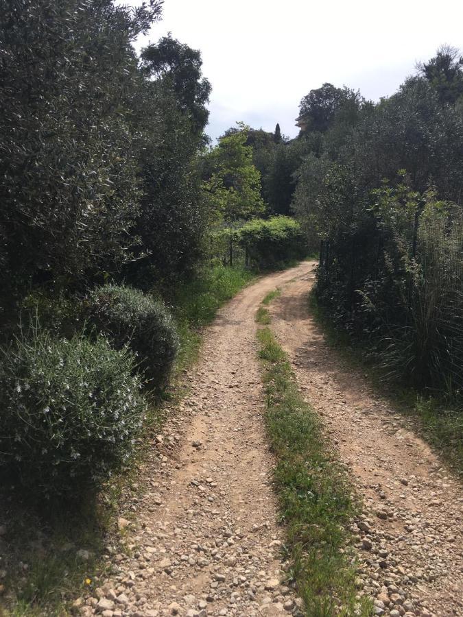 Cottage Pura Vigna Immerso Nella Natura Vicino Al Mare Porto Santo Stefano  Zewnętrze zdjęcie