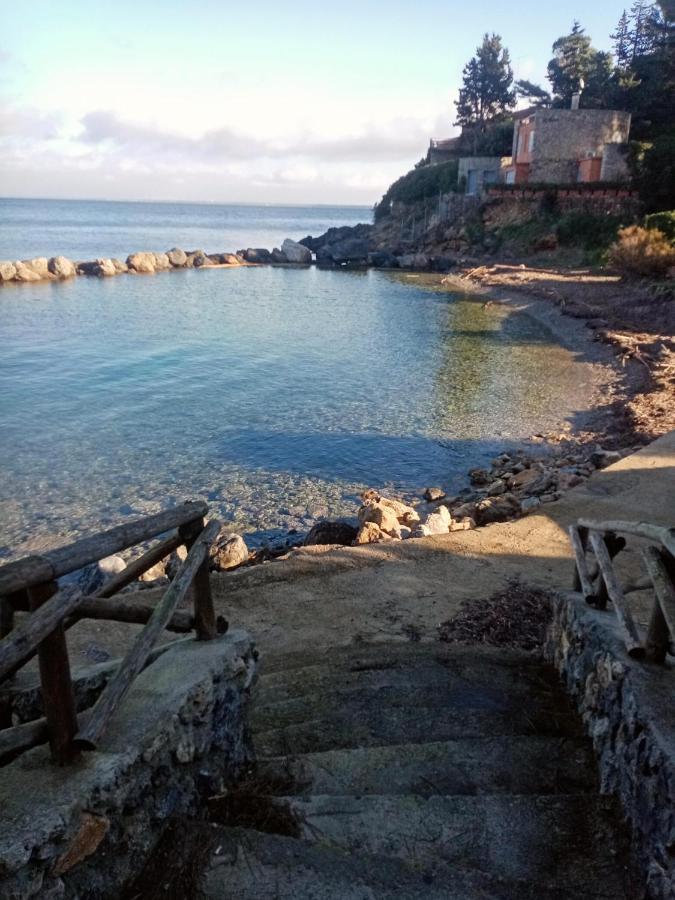 Cottage Pura Vigna Immerso Nella Natura Vicino Al Mare Porto Santo Stefano  Zewnętrze zdjęcie