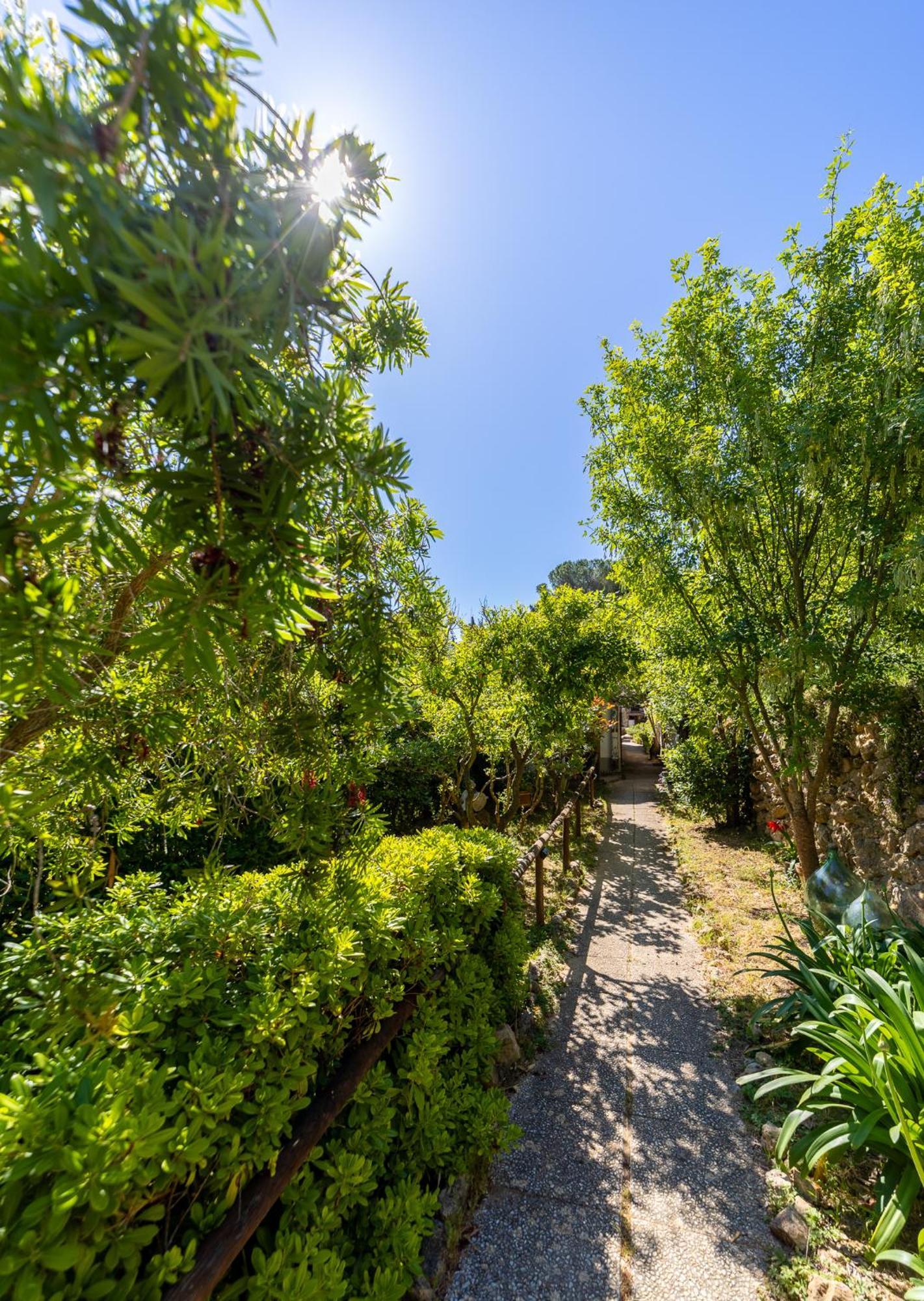 Cottage Pura Vigna Immerso Nella Natura Vicino Al Mare Porto Santo Stefano  Zewnętrze zdjęcie