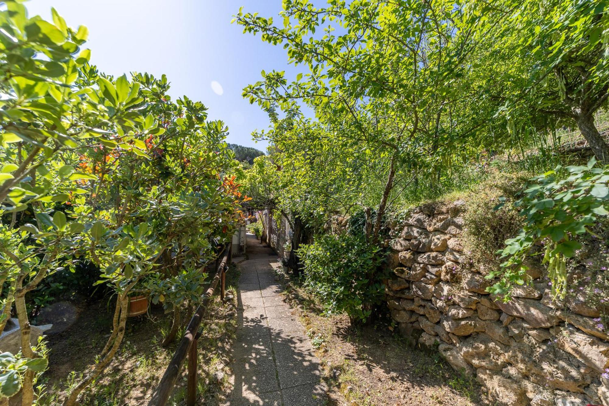 Cottage Pura Vigna Immerso Nella Natura Vicino Al Mare Porto Santo Stefano  Zewnętrze zdjęcie