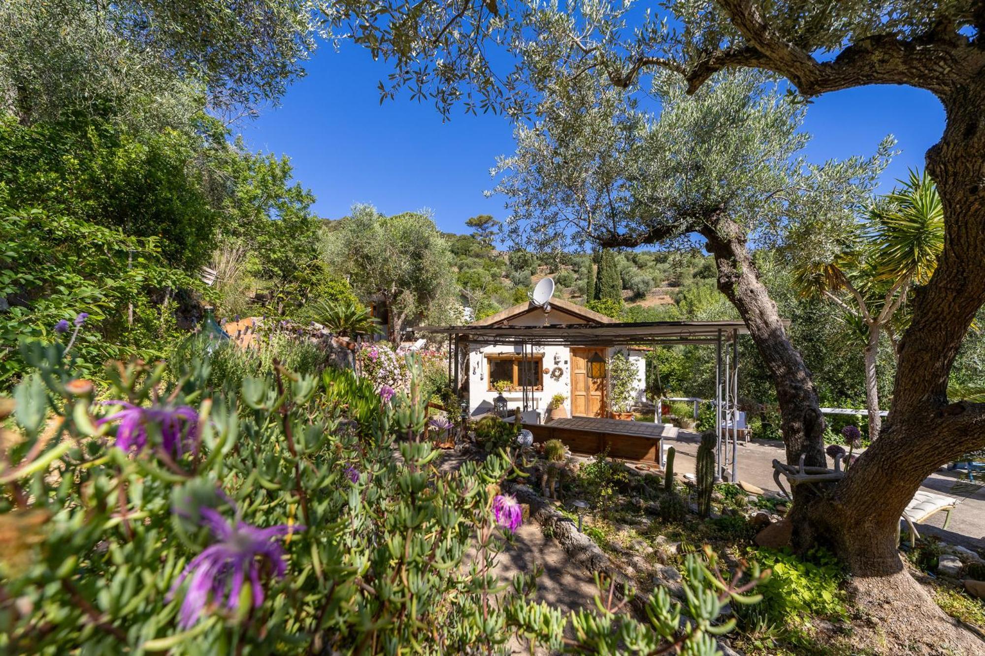 Cottage Pura Vigna Immerso Nella Natura Vicino Al Mare Porto Santo Stefano  Zewnętrze zdjęcie