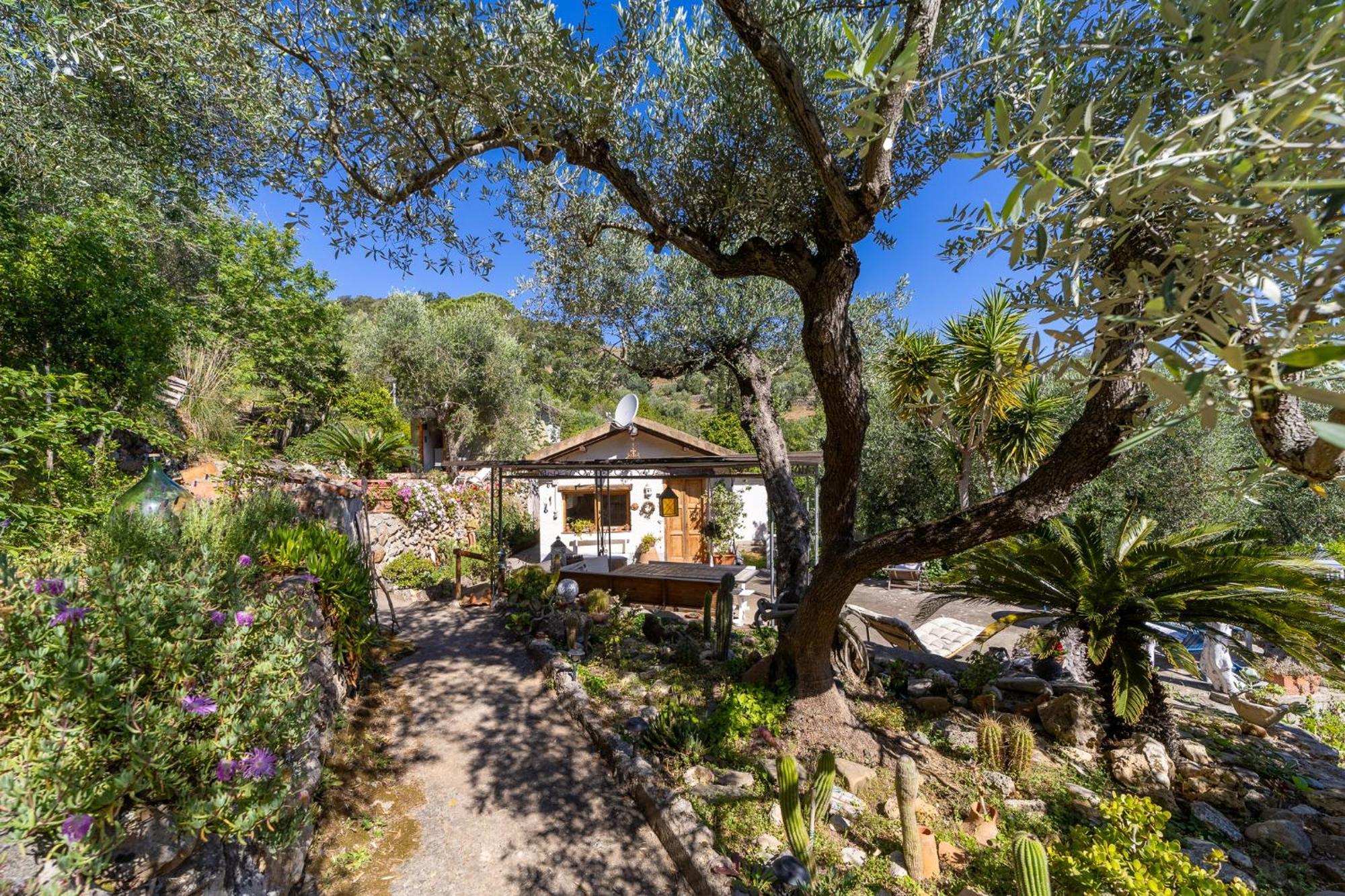 Cottage Pura Vigna Immerso Nella Natura Vicino Al Mare Porto Santo Stefano  Zewnętrze zdjęcie